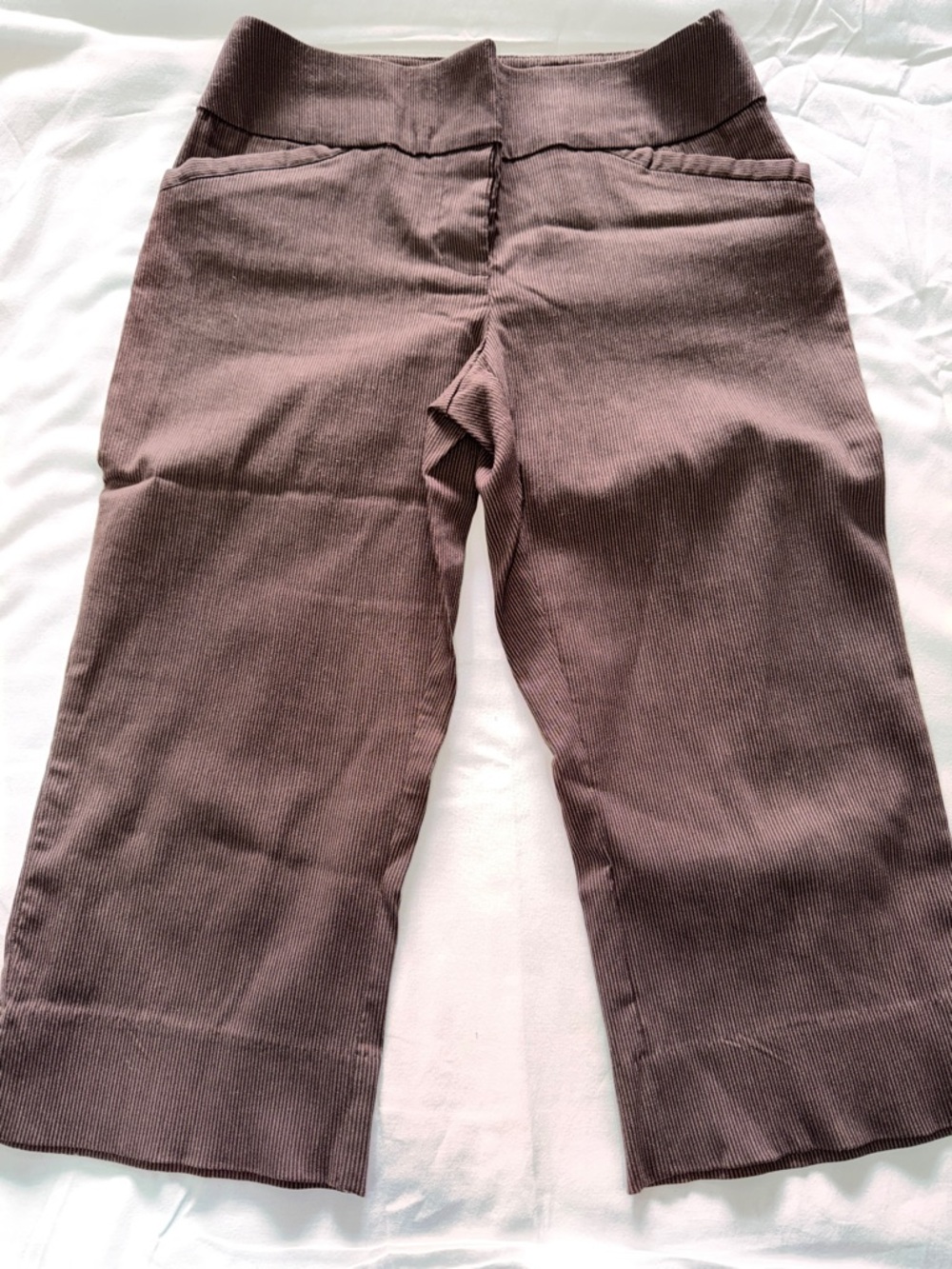 Reitmans Brown Cropped Corduroy Pants